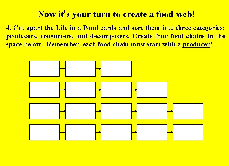 Now it’s your turn to create a food web! 4. Cut apart the Life