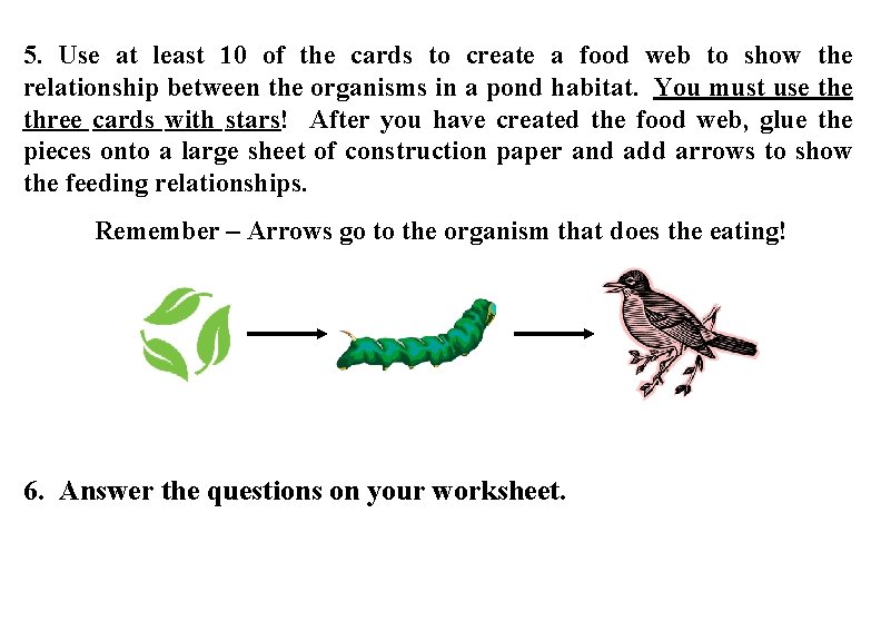 5. Use at least 10 of the cards to create a food web to
