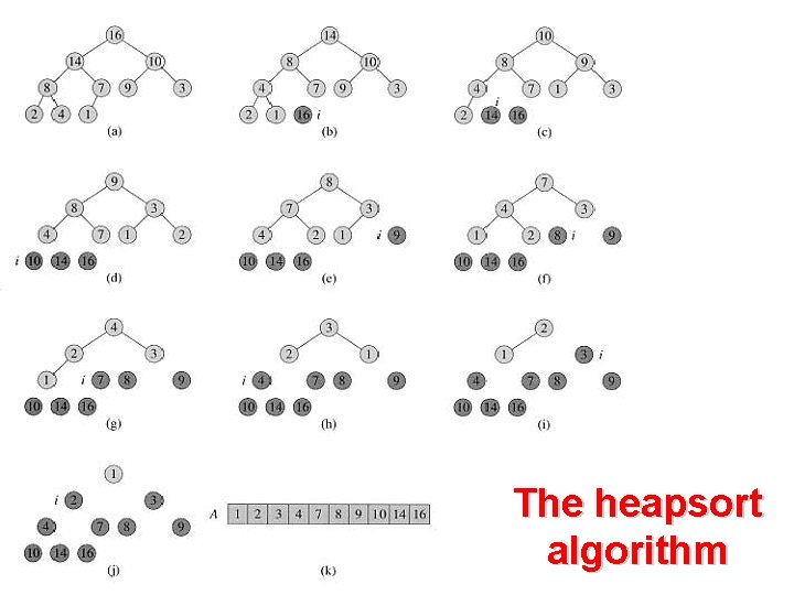 The heapsort algorithm 