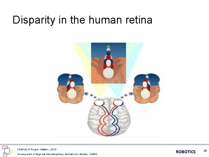 Disparity in the human retina TEMPUS IV Project: 158644 – JPCR Development of Regional