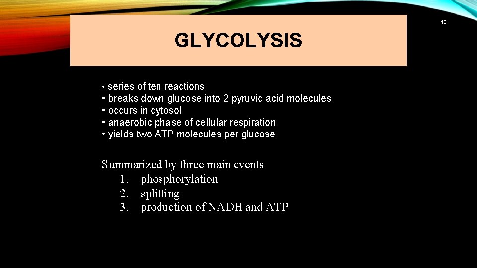 13 GLYCOLYSIS • series of ten reactions • breaks down glucose into 2 pyruvic