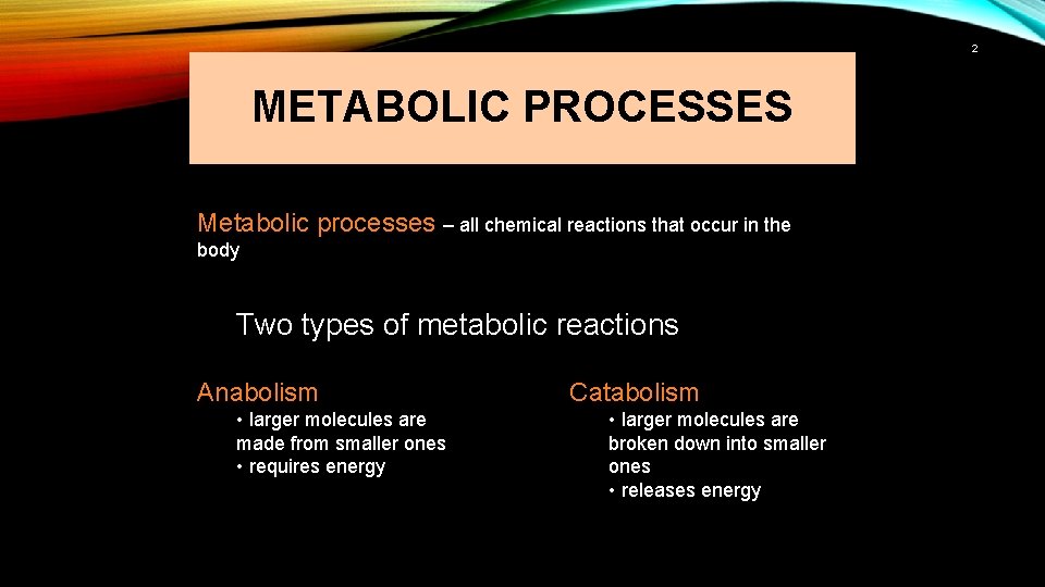 2 METABOLIC PROCESSES Metabolic processes – all chemical reactions that occur in the body