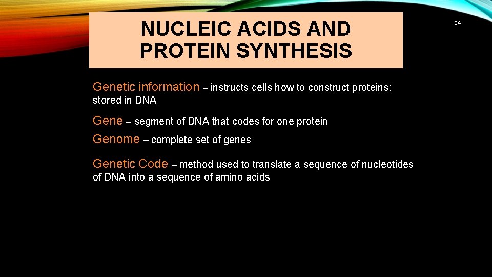NUCLEIC ACIDS AND PROTEIN SYNTHESIS Genetic information – instructs cells how to construct proteins;