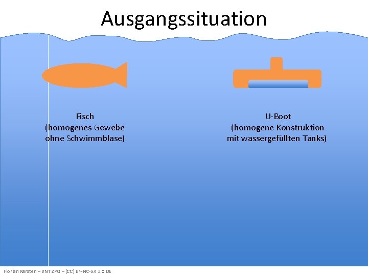 Ausgangssituation Fisch (homogenes Gewebe ohne Schwimmblase) Florian Karsten – BNT ZPG – (CC) BY-NC-SA