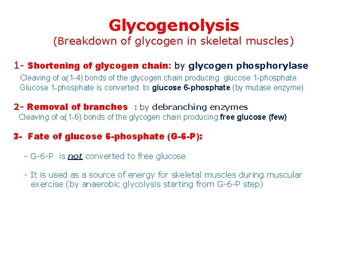 Glycogenolysis (Breakdown of glycogen in skeletal muscles) 1 - Shortening of glycogen chain: by