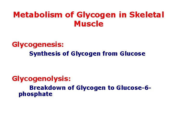 Metabolism of Glycogen in Skeletal Muscle Glycogenesis: Synthesis of Glycogen from Glucose Glycogenolysis: Breakdown