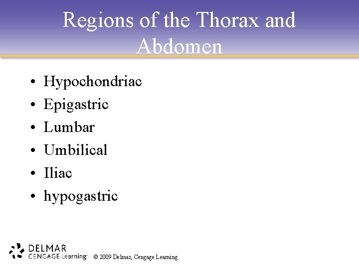 Regions of the Thorax and Abdomen • • • Hypochondriac Epigastric Lumbar Umbilical Iliac