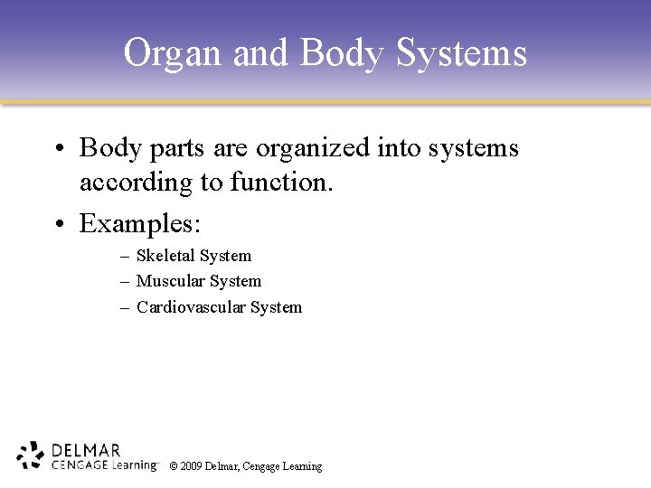 Organ and Body Systems • Body parts are organized into systems according to function.