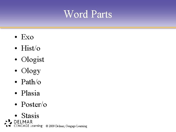 Word Parts • • Exo Hist/o Ologist Ology Path/o Plasia Poster/o Stasis © 2009