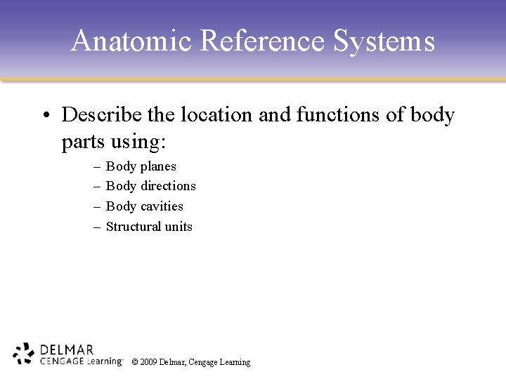 Anatomic Reference Systems • Describe the location and functions of body parts using: –