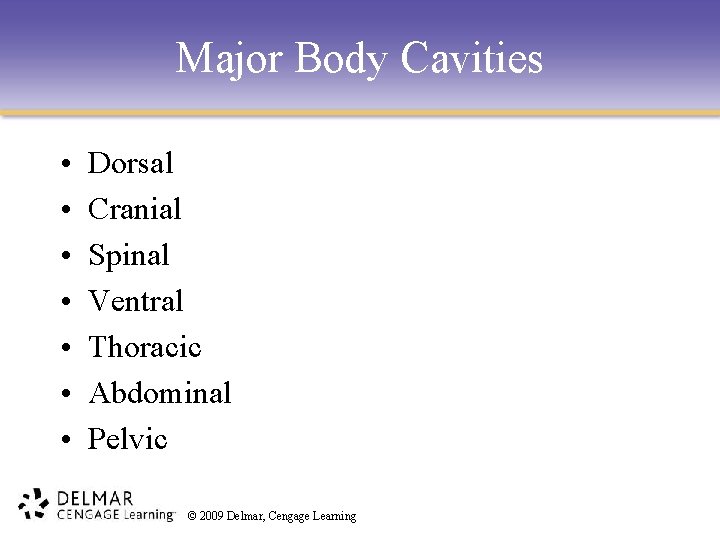 Major Body Cavities • • Dorsal Cranial Spinal Ventral Thoracic Abdominal Pelvic © 2009