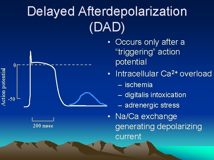 Action potential Delayed Afterdepolarization (DAD) • Occurs only after a “triggering” action potential •