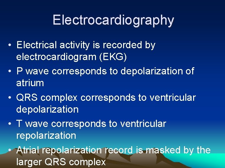 Electrocardiography • Electrical activity is recorded by electrocardiogram (EKG) • P wave corresponds to