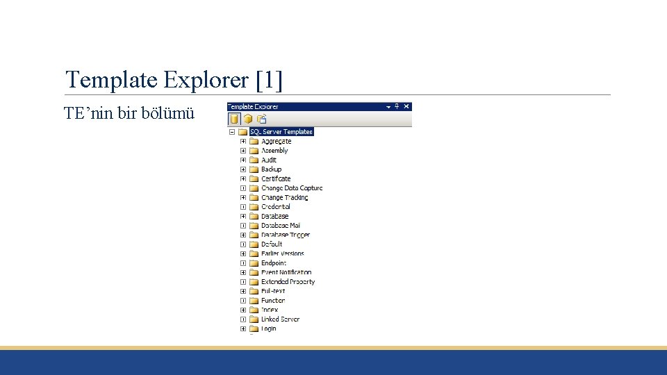 Template Explorer [1] TE’nin bir bölümü 