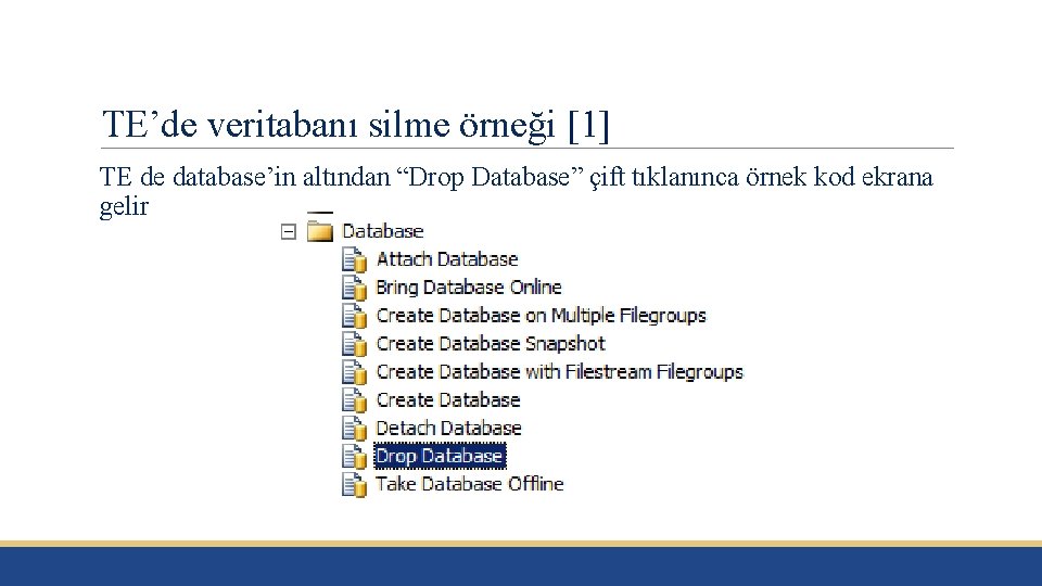 TE’de veritabanı silme örneği [1] TE de database’in altından “Drop Database” çift tıklanınca örnek