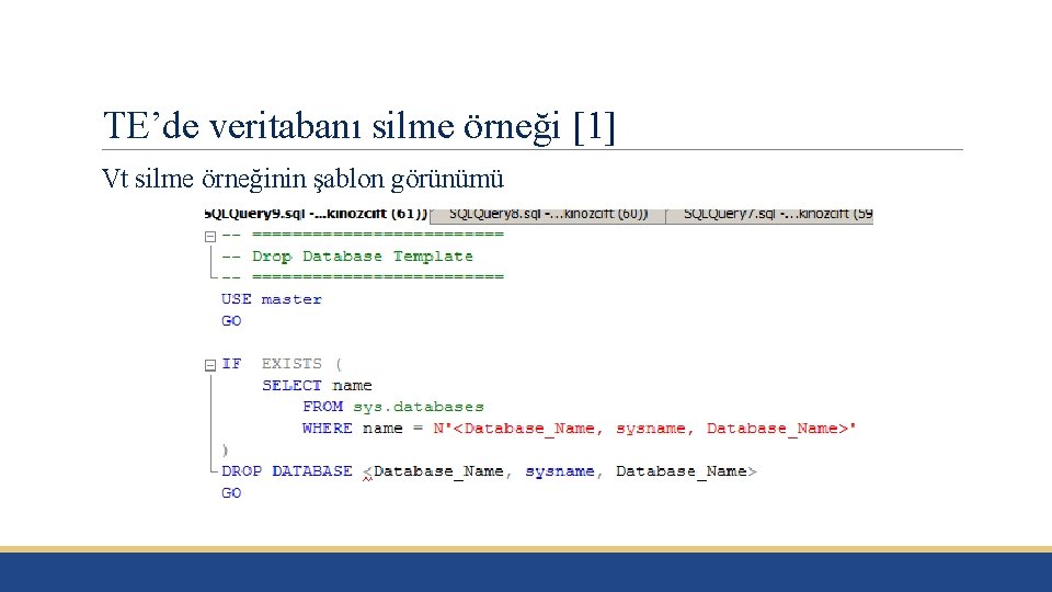 TE’de veritabanı silme örneği [1] Vt silme örneğinin şablon görünümü 