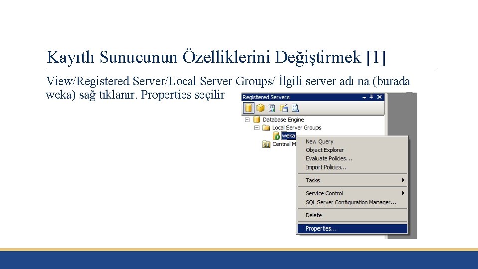 Kayıtlı Sunucunun Özelliklerini Değiştirmek [1] View/Registered Server/Local Server Groups/ İlgili server adı na (burada