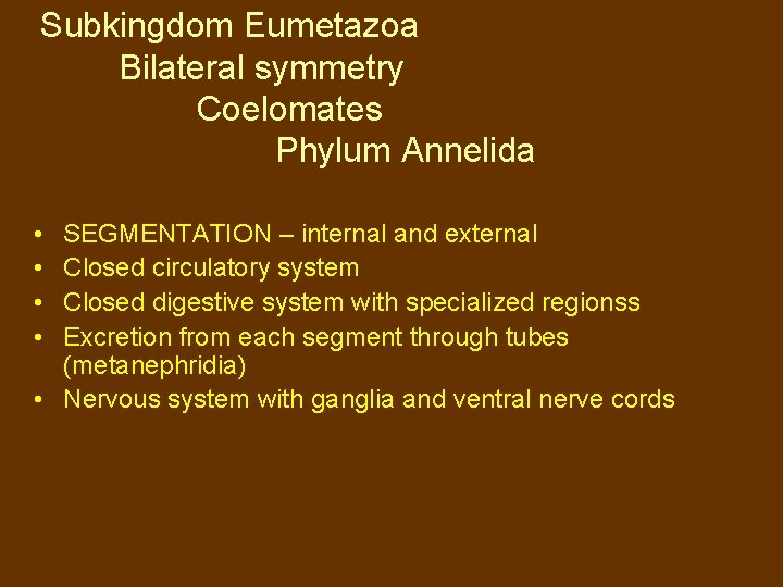 Subkingdom Eumetazoa Bilateral symmetry Coelomates Phylum Annelida • • SEGMENTATION – internal and external