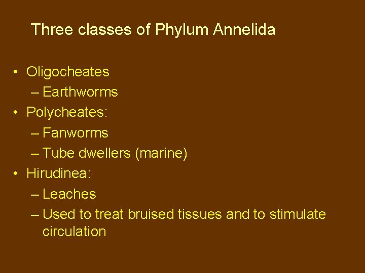 Three classes of Phylum Annelida • Oligocheates – Earthworms • Polycheates: – Fanworms –
