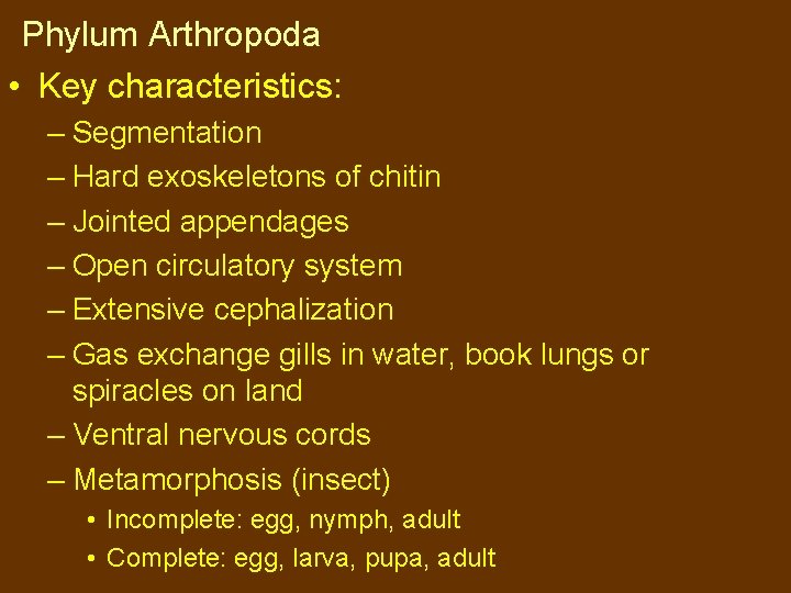 Phylum Arthropoda • Key characteristics: – Segmentation – Hard exoskeletons of chitin – Jointed