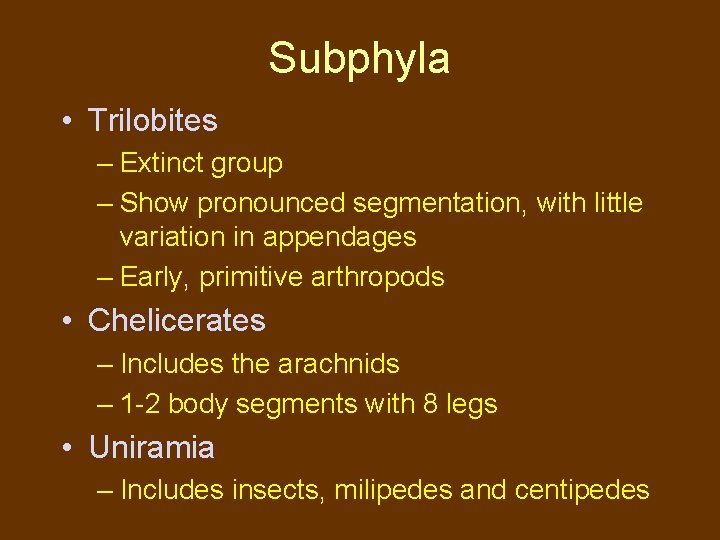 Subphyla • Trilobites – Extinct group – Show pronounced segmentation, with little variation in