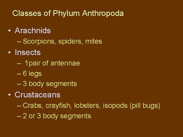 Classes of Phylum Anthropoda • Arachnids – Scorpions, spiders, mites • Insects – 1