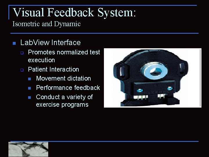 Visual Feedback System: Isometric and Dynamic n Lab. View Interface q q Promotes normalized