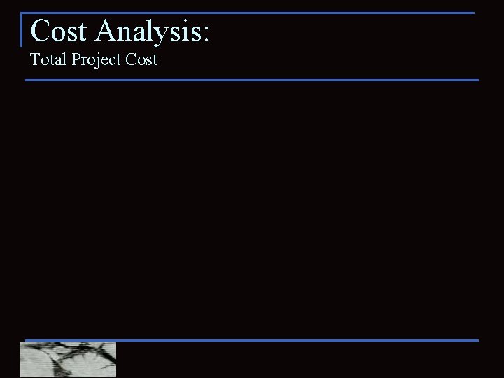 Cost Analysis: Total Project Cost 