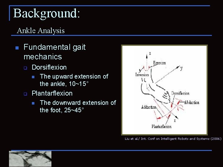 Background: Ankle Analysis n Fundamental gait mechanics q Dorsiflexion n q The upward extension