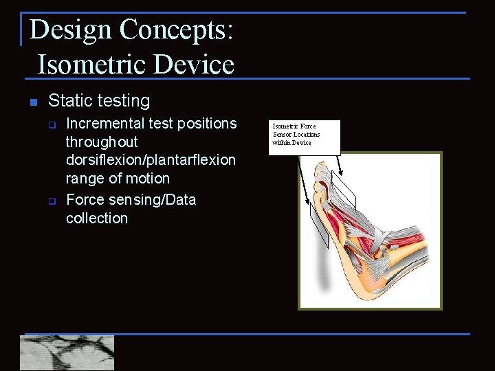 Design Concepts: Isometric Device n Static testing q q Incremental test positions throughout dorsiflexion/plantarflexion