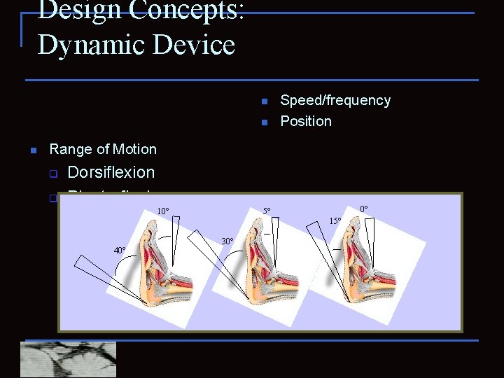 Design Concepts: Dynamic Device n n n Speed/frequency Position Range of Motion q q