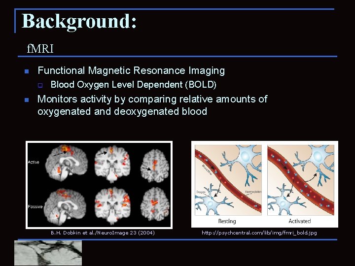 Background: f. MRI n Functional Magnetic Resonance Imaging q n Blood Oxygen Level Dependent
