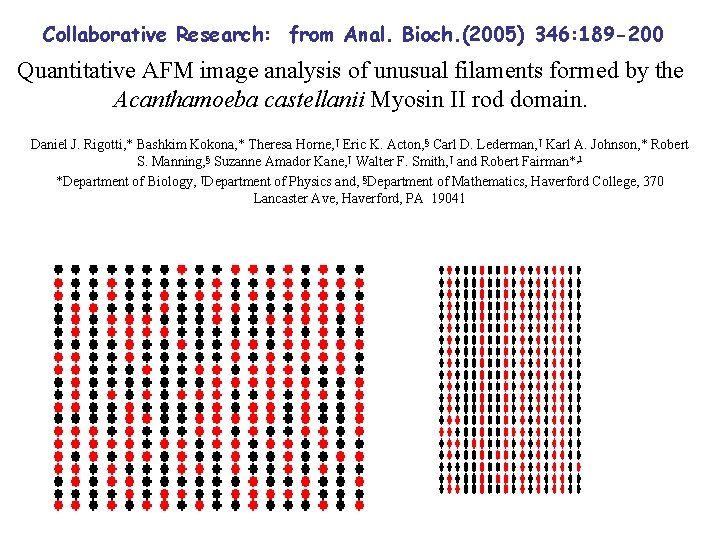 Collaborative Research: from Anal. Bioch. (2005) 346: 189 -200 Quantitative AFM image analysis of