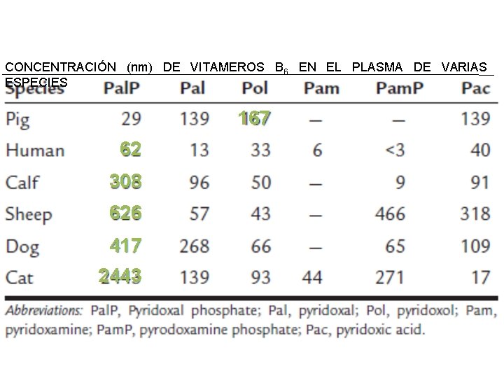 CONCENTRACIÓN (nm) DE VITAMEROS B 6 EN EL PLASMA DE VARIAS ESPECIES 167 62