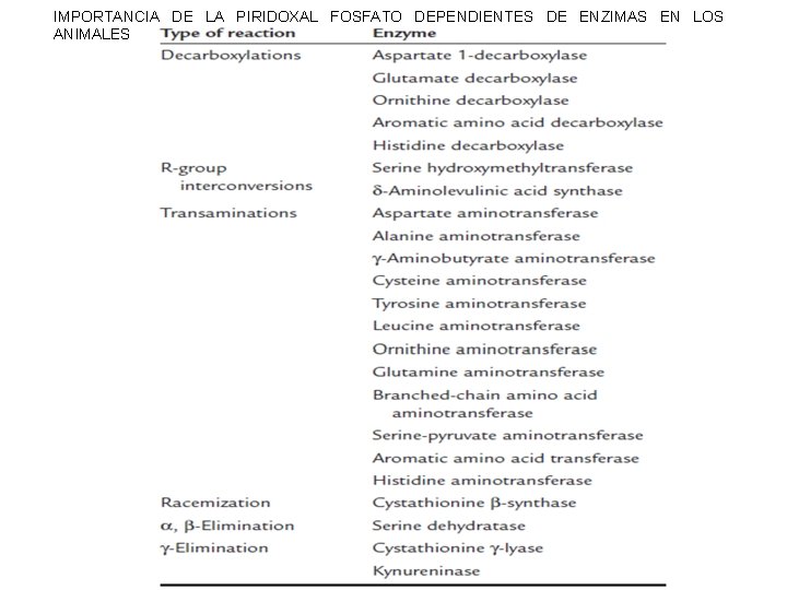 IMPORTANCIA DE LA PIRIDOXAL FOSFATO DEPENDIENTES DE ENZIMAS EN LOS ANIMALES 