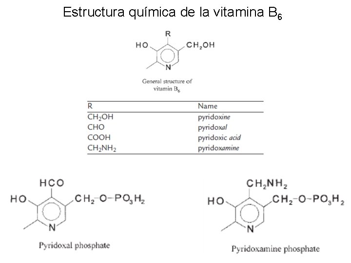 Estructura química de la vitamina B 6 