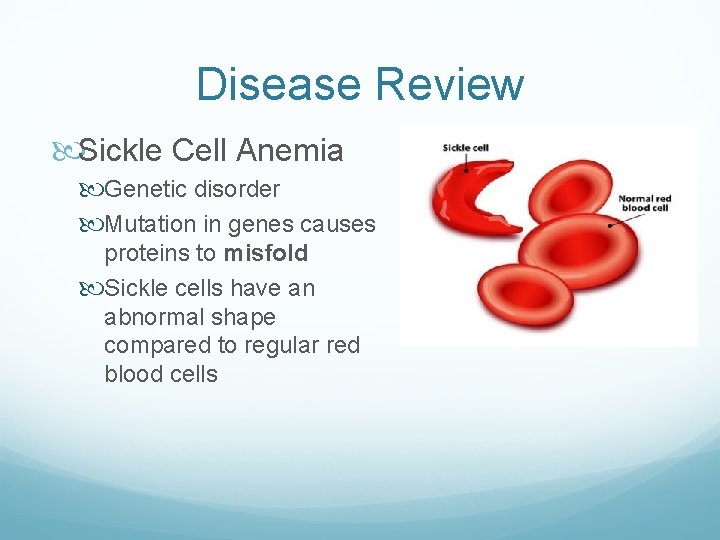 Disease Review Sickle Cell Anemia Genetic disorder Mutation in genes causes proteins to misfold