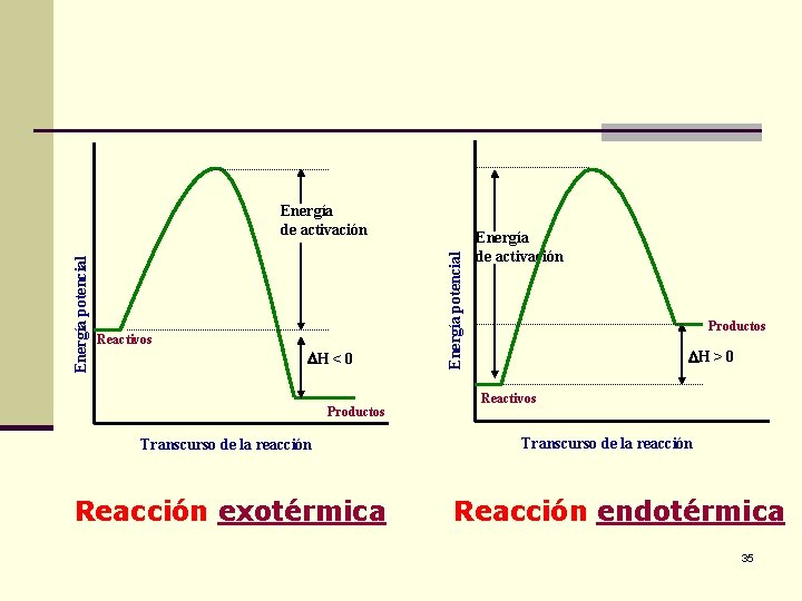Reactivos H < 0 Productos Transcurso de la reacción Reacción exotérmica Energía potencial Energía