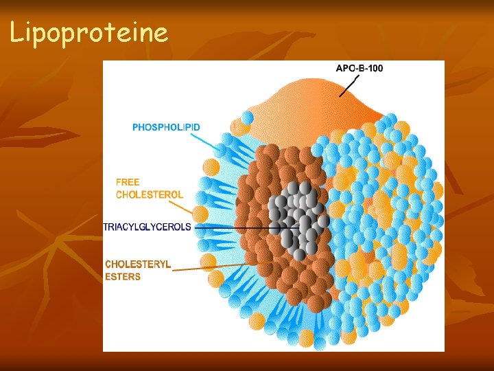 Lipoproteine 