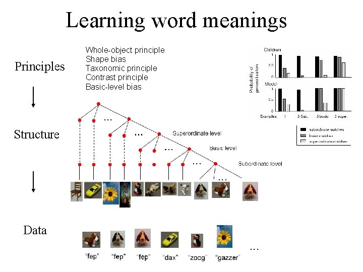 Learning word meanings Principles Structure Data Whole-object principle Shape bias Taxonomic principle Contrast principle