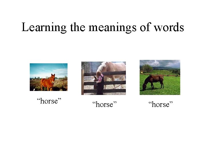 Learning the meanings of words “horse” 