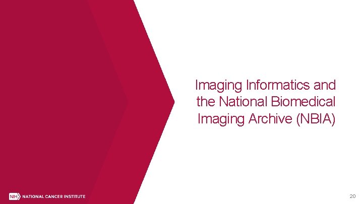 Imaging Informatics and the National Biomedical Imaging Archive (NBIA) 20 