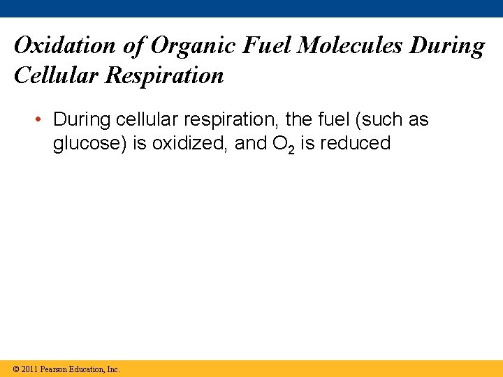 Oxidation of Organic Fuel Molecules During Cellular Respiration • During cellular respiration, the fuel