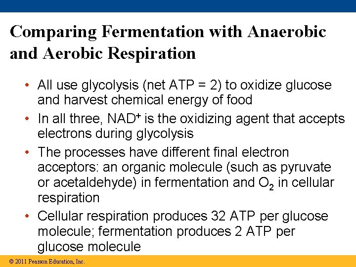 Comparing Fermentation with Anaerobic and Aerobic Respiration • All use glycolysis (net ATP =