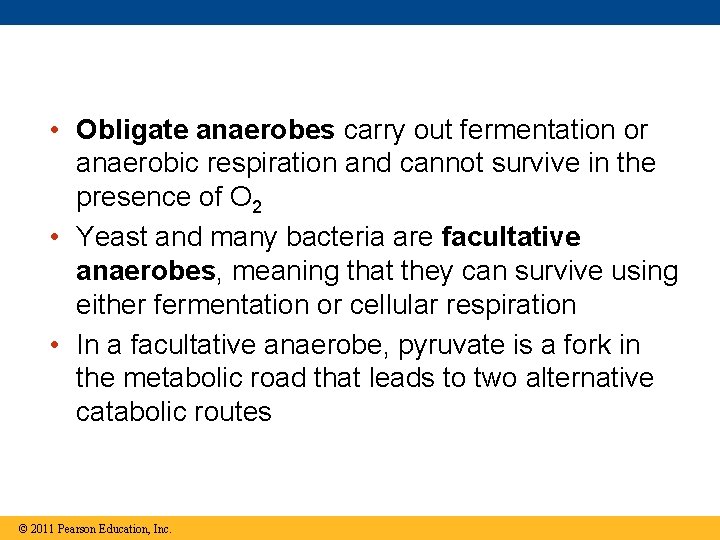 • Obligate anaerobes carry out fermentation or anaerobic respiration and cannot survive in