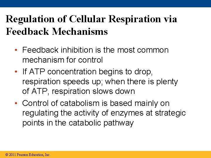 Regulation of Cellular Respiration via Feedback Mechanisms • Feedback inhibition is the most common