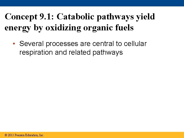 Concept 9. 1: Catabolic pathways yield energy by oxidizing organic fuels • Several processes