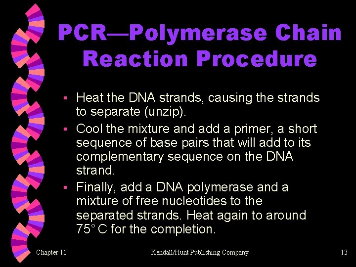PCR—Polymerase Chain Reaction Procedure Heat the DNA strands, causing the strands to separate (unzip).
