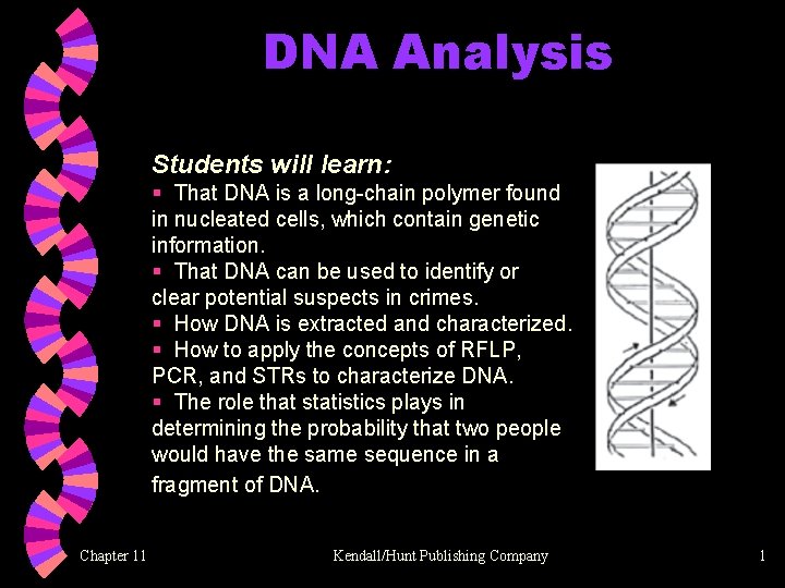 DNA Analysis Students will learn: § That DNA is a long-chain polymer found in