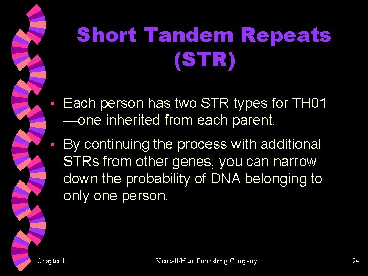Short Tandem Repeats (STR) § Each person has two STR types for TH 01